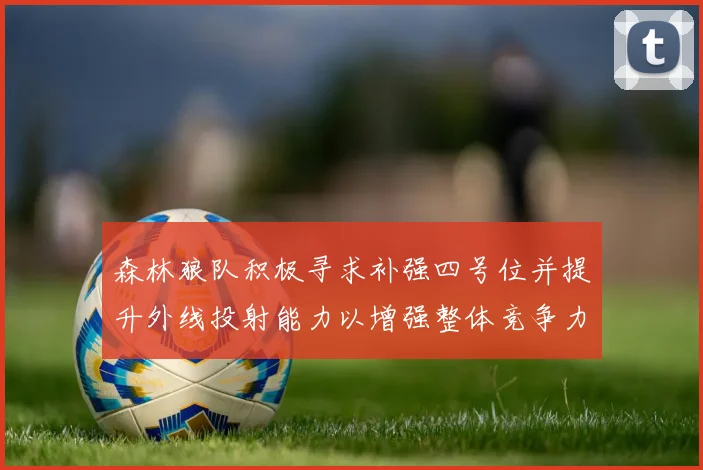 森林狼队积极寻求补强四号位并提升外线投射能力以增强整体竞争力
